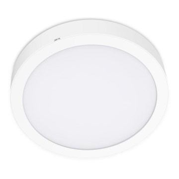 LED Laevalgusti SIGARO CIRCLE LED/18W/230V 4000K IP40