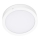 LED Laevalgusti SIGARO CIRCLE LED/18W/230V 4000K IP40