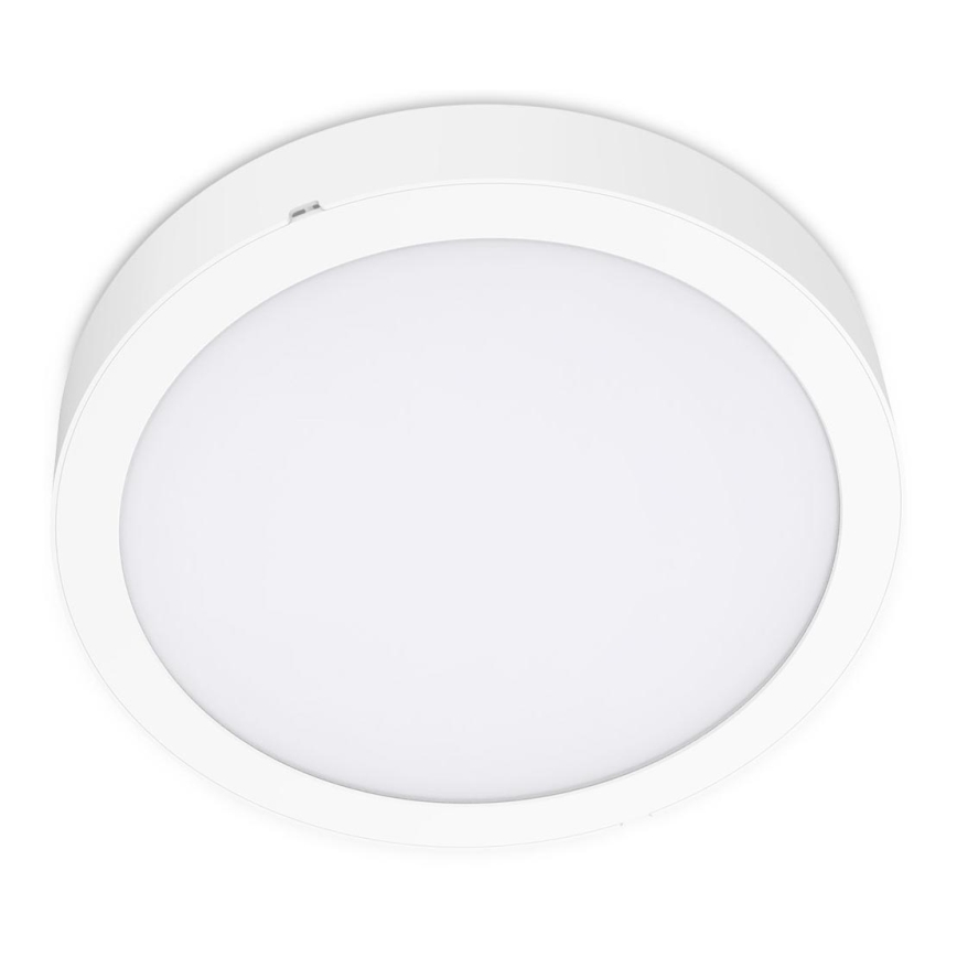 LED Laevalgusti SIGARO CIRCLE LED/24W/230V 4000K IP40