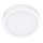 LED Laevalgusti SIGARO CIRCLE LED/24W/230V 4000K IP40