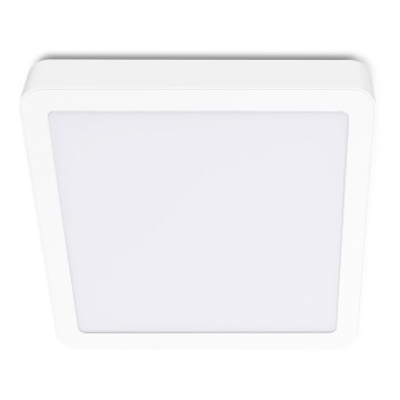 LED Laevalgusti SIGARO SQUARE LED/18W/230V 4000K IP40