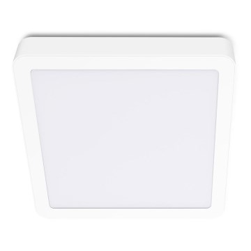 LED Laevalgusti SIGARO SQUARE LED/24W/230V 4000K IP40