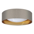 LED Laevalgusti TULUZA LED/24W/230V d. 40 cm pruun