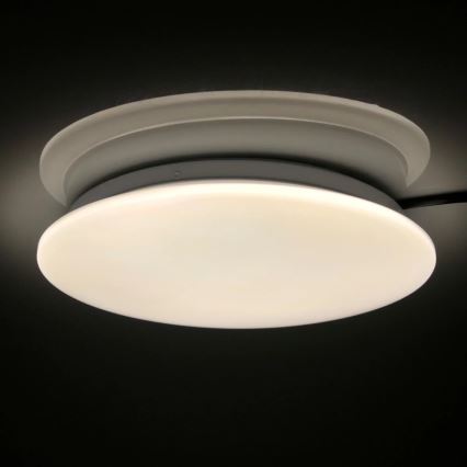LED Laevalgusti vannituppa ADAR LED/17W/230V IP44 4000K