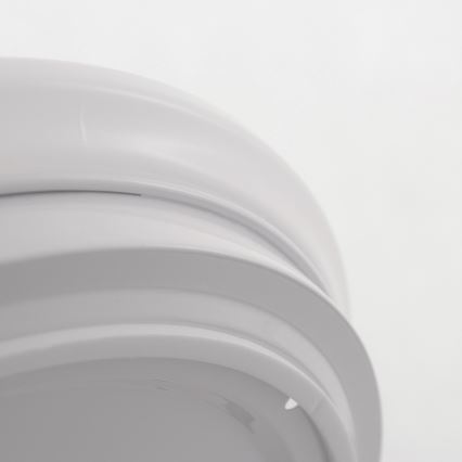 LED Laevalgusti vannituppa ADAR LED/17W/230V IP44 4000K
