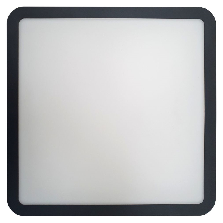 LED Laevalgusti vannituppa anduriga ELLÉ LED/24W/230V 3000/4000/6500K 26x26 cm IP54 antratsiit
