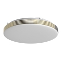 LED Laevalgusti vannituppa BEVER LED/10W/230V 4000K d. 26 cm IP44