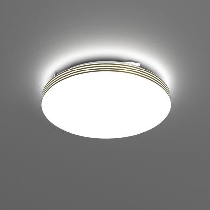 LED Laevalgusti vannituppa BEVER LED/10W/230V 4000K d. 26 cm IP44