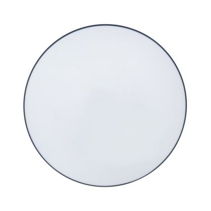 LED Laevalgusti vannituppa CIRCLE LED/12W/230V 4000K d. 25 cm IP44 must