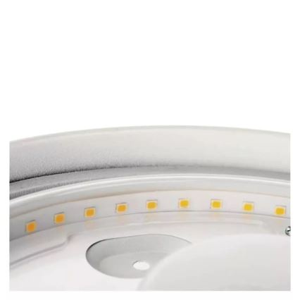 LED Laevalgusti vannituppa LED/12W/230V IP44