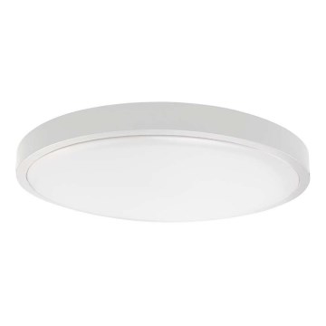 LED Laevalgusti vannituppa LED/24W/230V 4000K IP44 valge