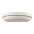 LED Laevalgusti vannituppa LED/24W/230V 6500K IP54 d. 24 cm
