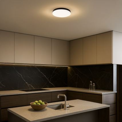 LED Laevalgusti vannituppa MAYA LED/15W/230V d. 33 cm IP44 must