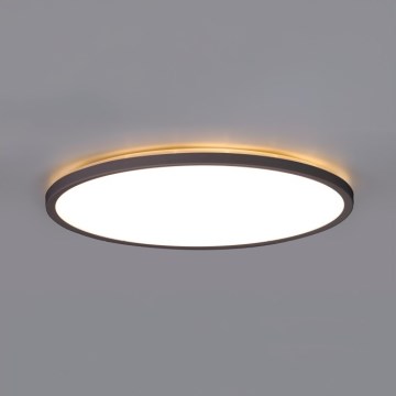 LED Laevalgusti vannituppa NIVERA LED/18W/230V IP54 3000/4000/6000K d. 30 cm must
