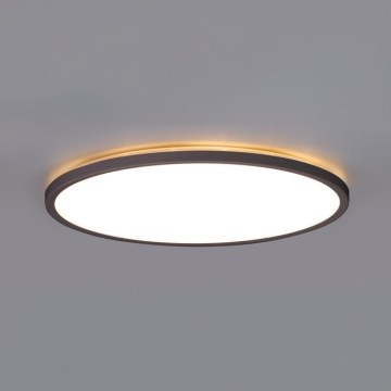 LED Laevalgusti vannituppa NIVERA LED/24W/230V IP54 3000/4000/6000K d. 30 cm must