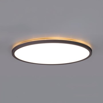 LED Laevalgusti vannituppa NIVERA LED/32W/230V IP54 3000/4000/6000K d. 42 cm must
