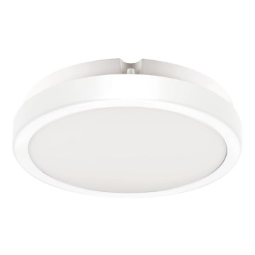 LED Laevalgusti vannituppa VERA LED/12W/230V 4000K IP65 valge