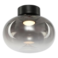 LED Laevalgusti VASO LED/4W/230V d. 18 cm must/suitsune