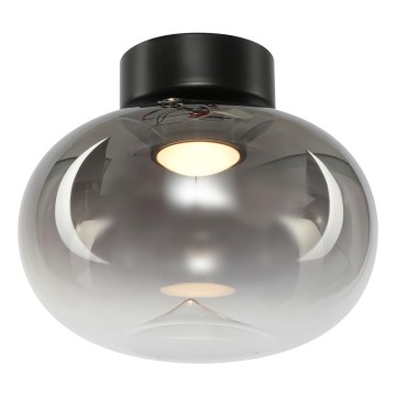 LED Laevalgusti VASO LED/4W/230V d. 18 cm must/suitsune