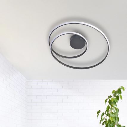 LED Laevalgusti ZEFIRA LED/40W/230V 4000K d. 50 cm antratsiit