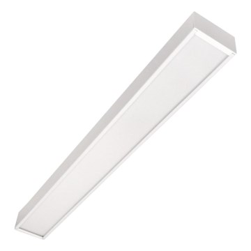 LED Laevarippuv valgusti CYNIDECO LED/12W/230V 4000K valge
