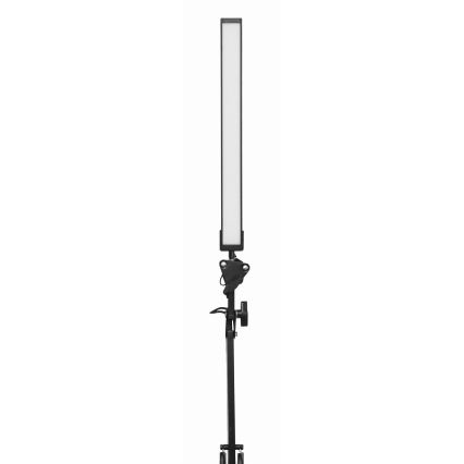 LED Laualamp klambriga LED/10W/230V 2800-6800K