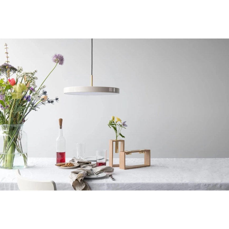 LED Lühter ASTERIA LED/14W/230V