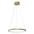 LED Lühter HOOP LED/27W/230V d. 50 cm 4000K kuldne