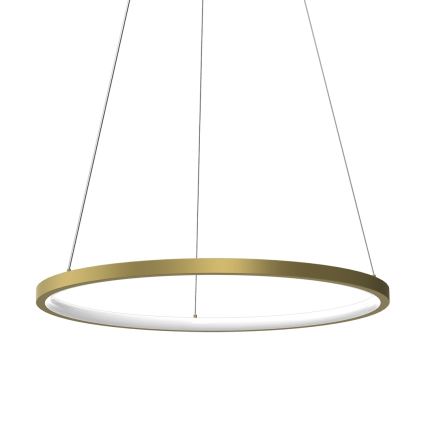 LED Lühter HOOP LED/27W/230V d. 50 cm 4000K kuldne