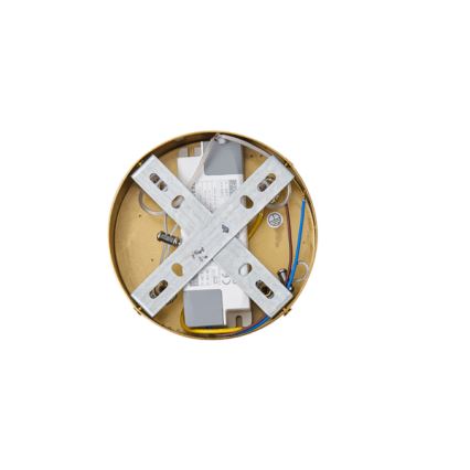 LED Lühter LED/19W/230V 3000K