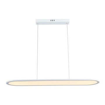 LED Lühter LED/24W/230V 3000K valge