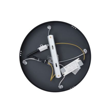 LED Lühter LED/38W/230V 3000K