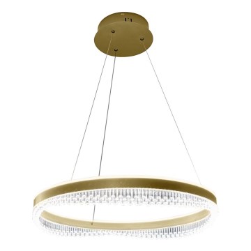 LED Lühter LED/52W/230V d. 60 cm kuldne
