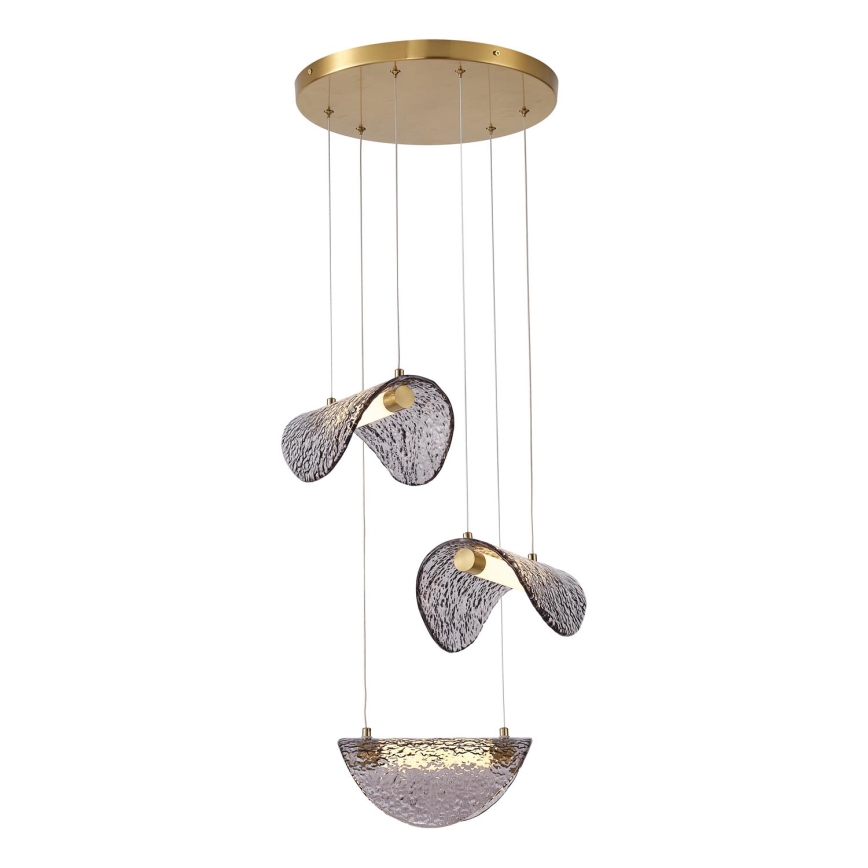 LED Lühter LED/6W/230V 3000K