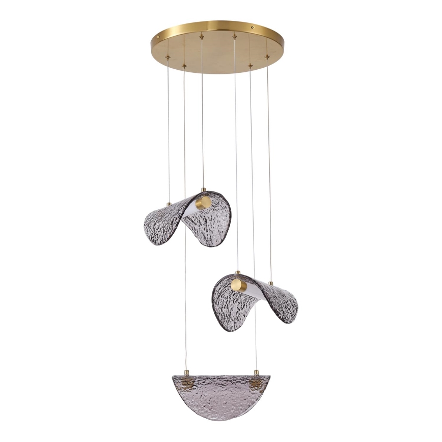 LED Lühter LED/6W/230V 3000K