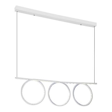 LED Lühter LOOP 3xLED/20W/230V valge