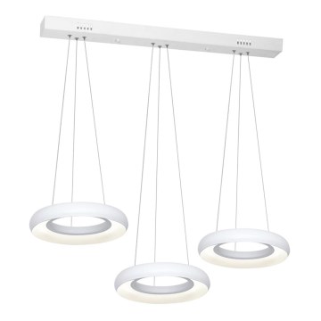 LED Lühter RONDO 3xLED/12W/230V