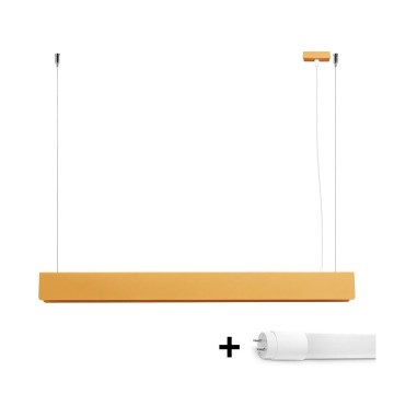 LED Lühter SPARK 1xG13/8,5W/230V kuldne