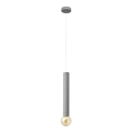 LED Lühter TUBA 1xGU10/20W/230V hall