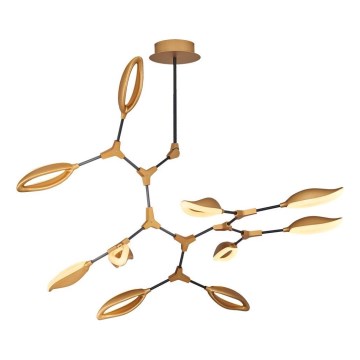 LED-lühter varrega ASTI 10xLED/7W/230V 3000K kuldne