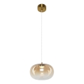 LED Lühter VASO LED/4W/230V d. 18 cm kuldne/suitsune