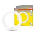 LED Luminofoortoru G10q/11W/230V 3000K - Osram
