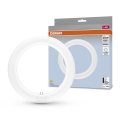 LED Luminofoortoru G10q/11W/230V 4000K - Osram