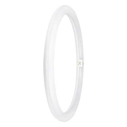 LED Luminofoortoru G10q/24W/230V 6500K - Osram