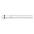LED Luminofoortoru Philips MASTER T8 G13/14W/80V 6500K 120 cm