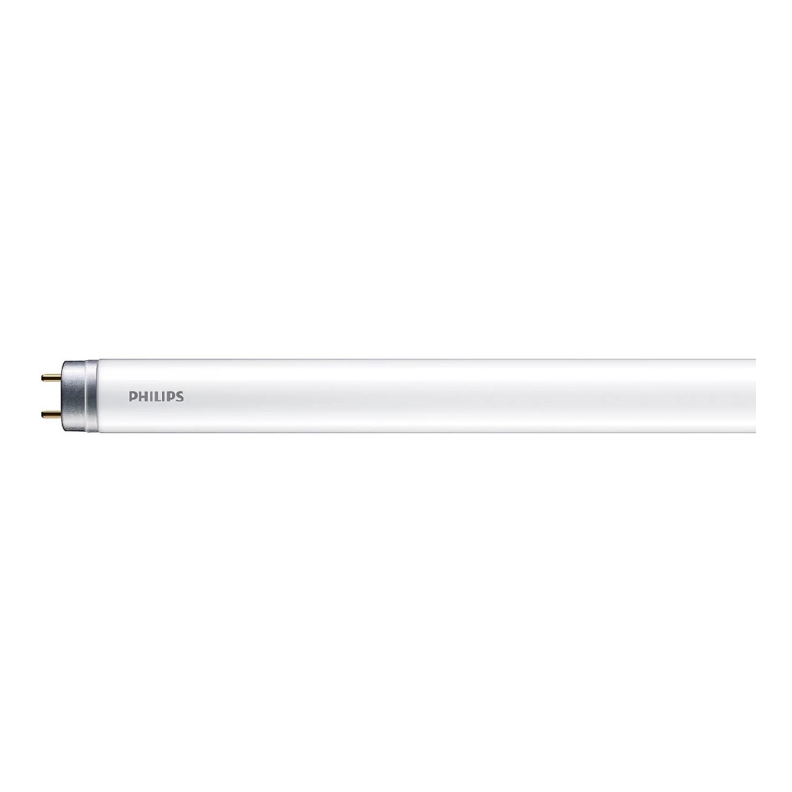 LED Luminofoortoru Philips T8 G13/16W/230V 6500K 120 cm