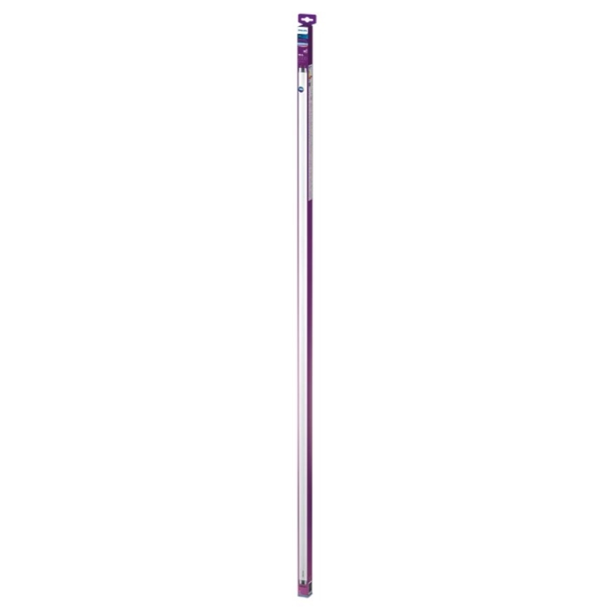 LED Luminofoortoru Philips T8 G13/19,5W/230V 6500K 150 cm