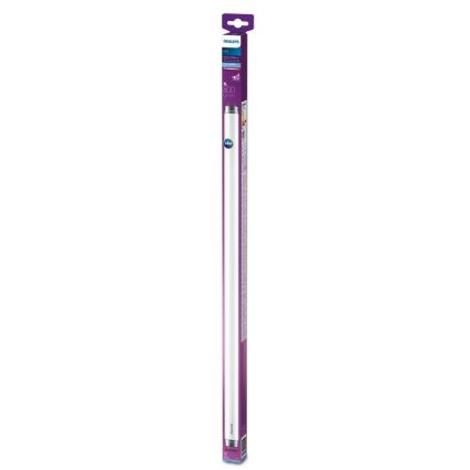 LED Luminofoortoru Philips T8 G13/8W/230V 6500K 60 cm