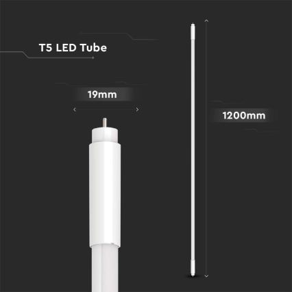 LED Luminofoortoru T5 G5/16W/230V 6500K 120 cm
