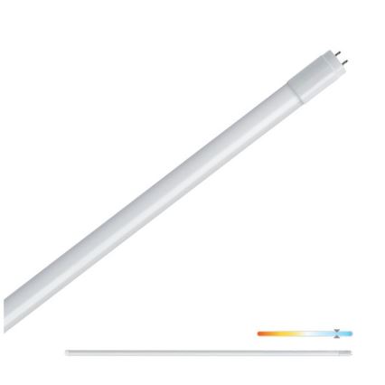 LED Luminofoortoru T8 G13/22W/230V 6500K 150 cm
